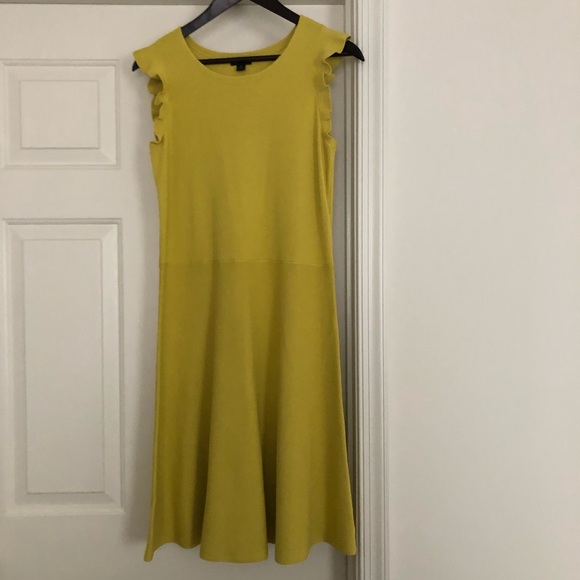 SOLD!! ANN TAYLOR Ruffle Sleeve Flare Sweater Dress || 8 - Picture 6 of 7